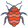 bed bugs pest control services