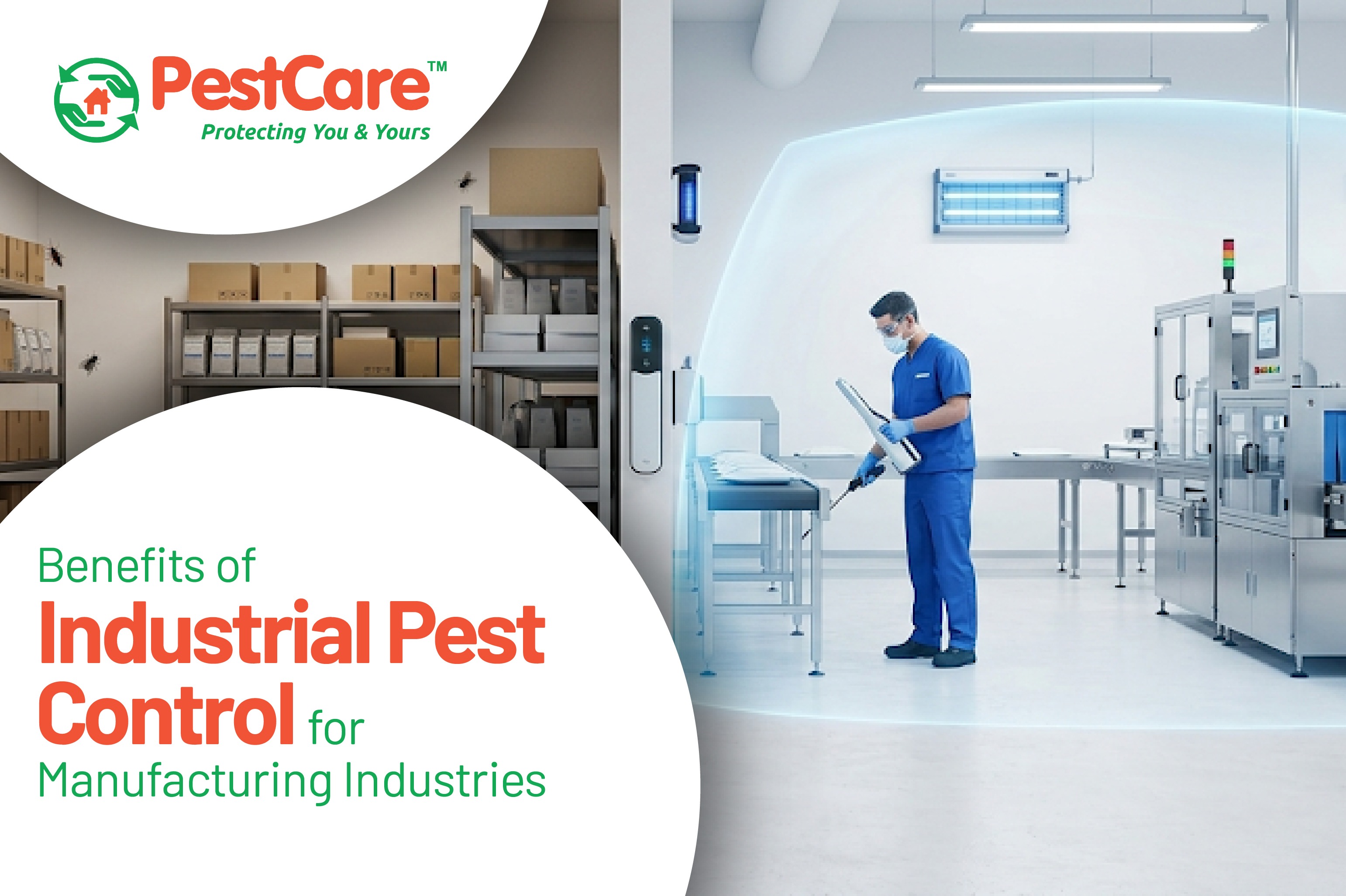 Mosquito Control Service in Ahmedabad
