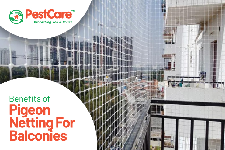 Pigeon Netting For Balconies