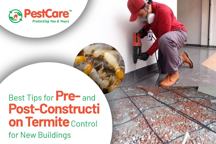 Tips for Pre and Post-Construction Termite Control