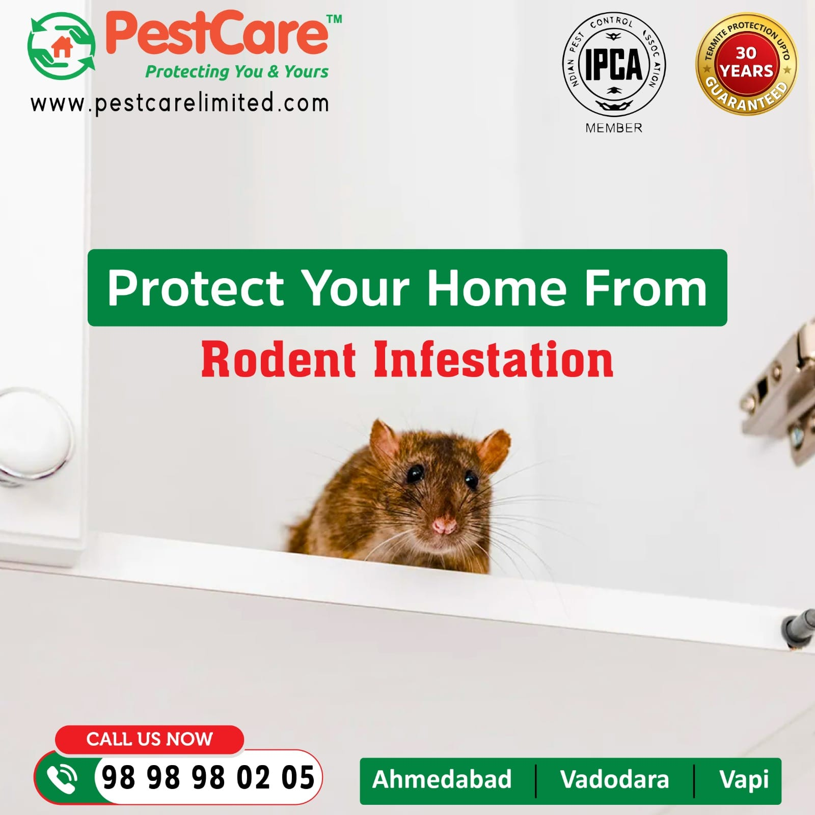 Rodent Control Services in Ahmedabad