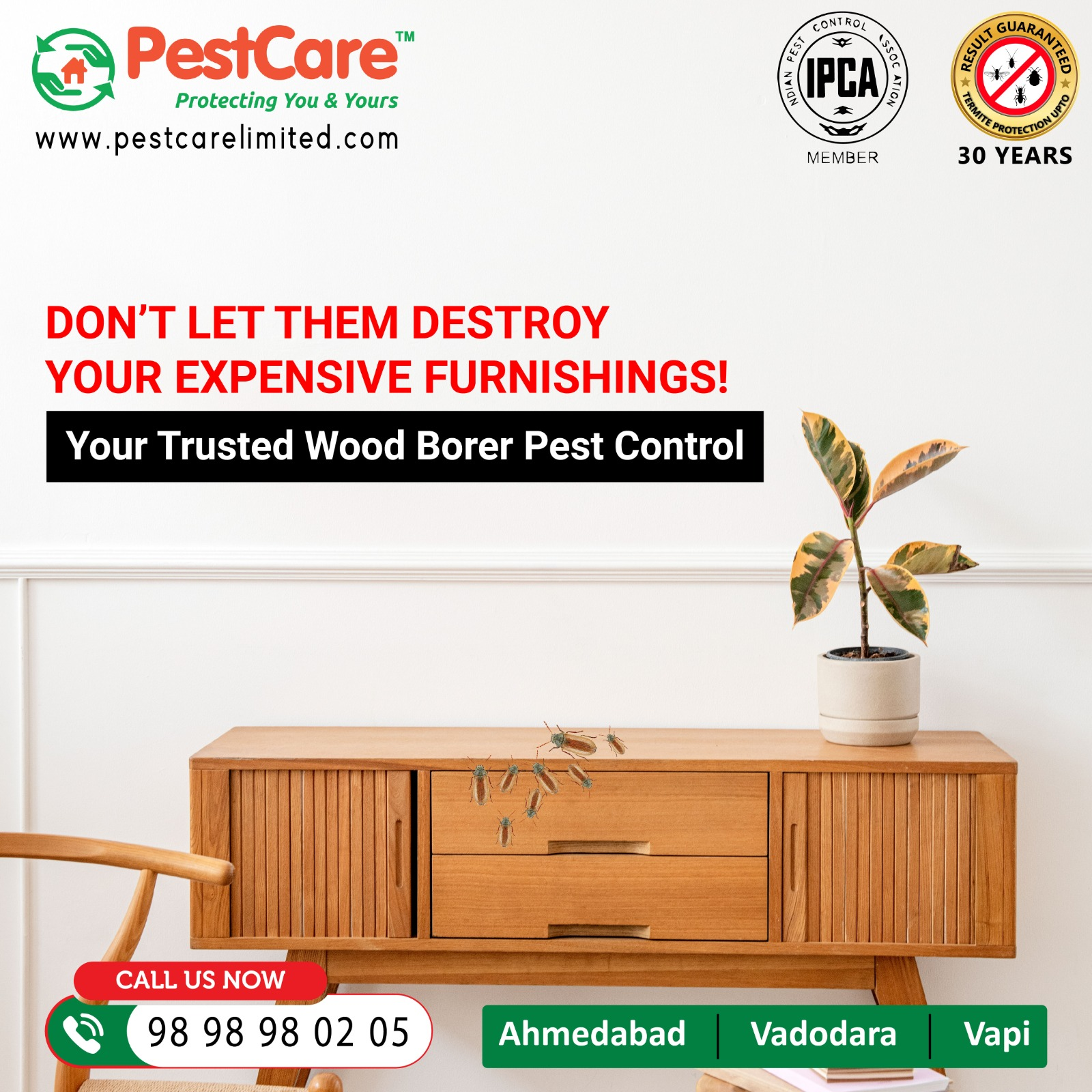 Wood Borer Control in Ahmedabad