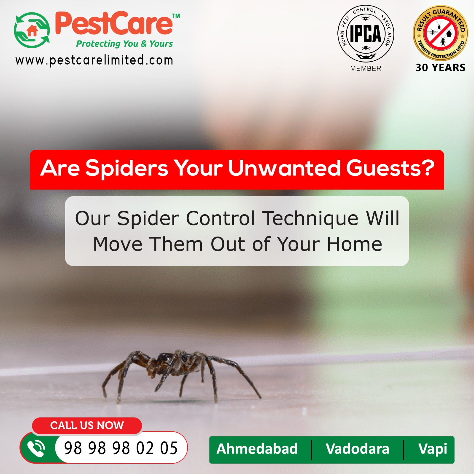 Spider Control in Ahmedabad