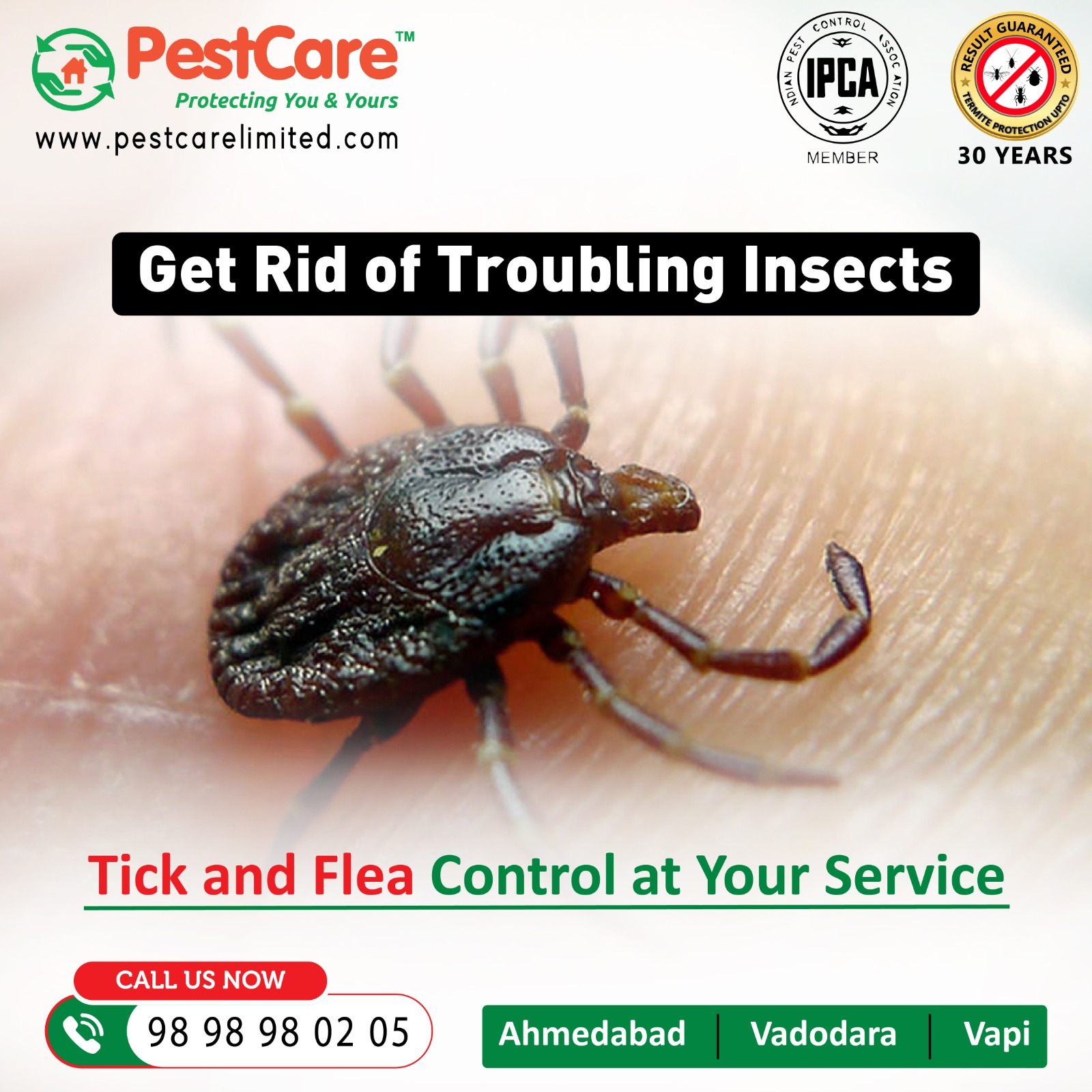 Insect Pest Control in Ahmedabad