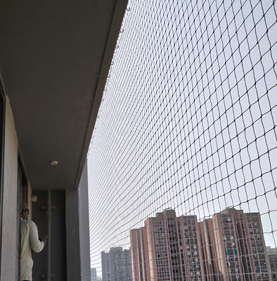 Mosquito Control services in Ahmedabad