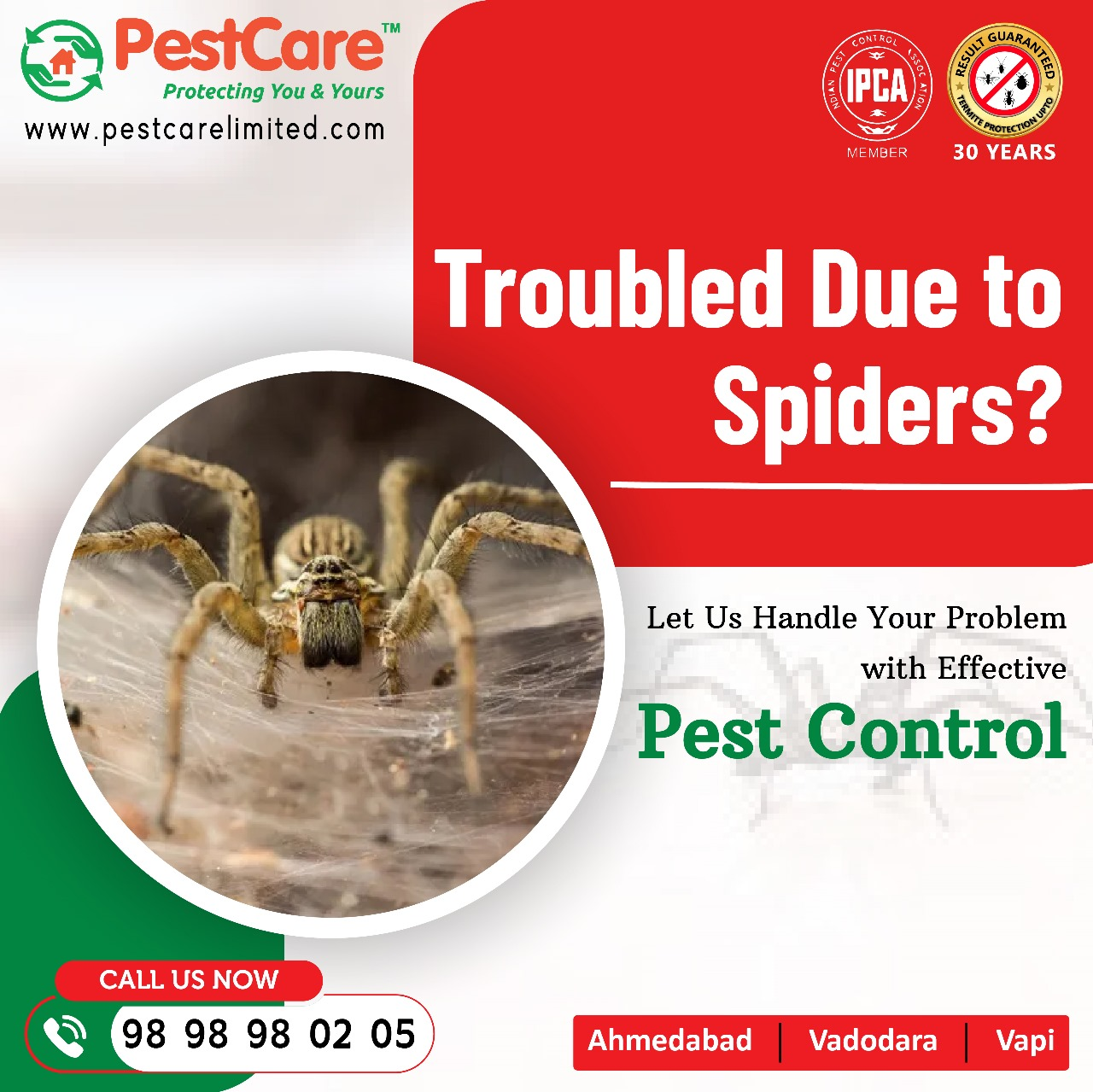 Spider Control Services in Ahmedabad