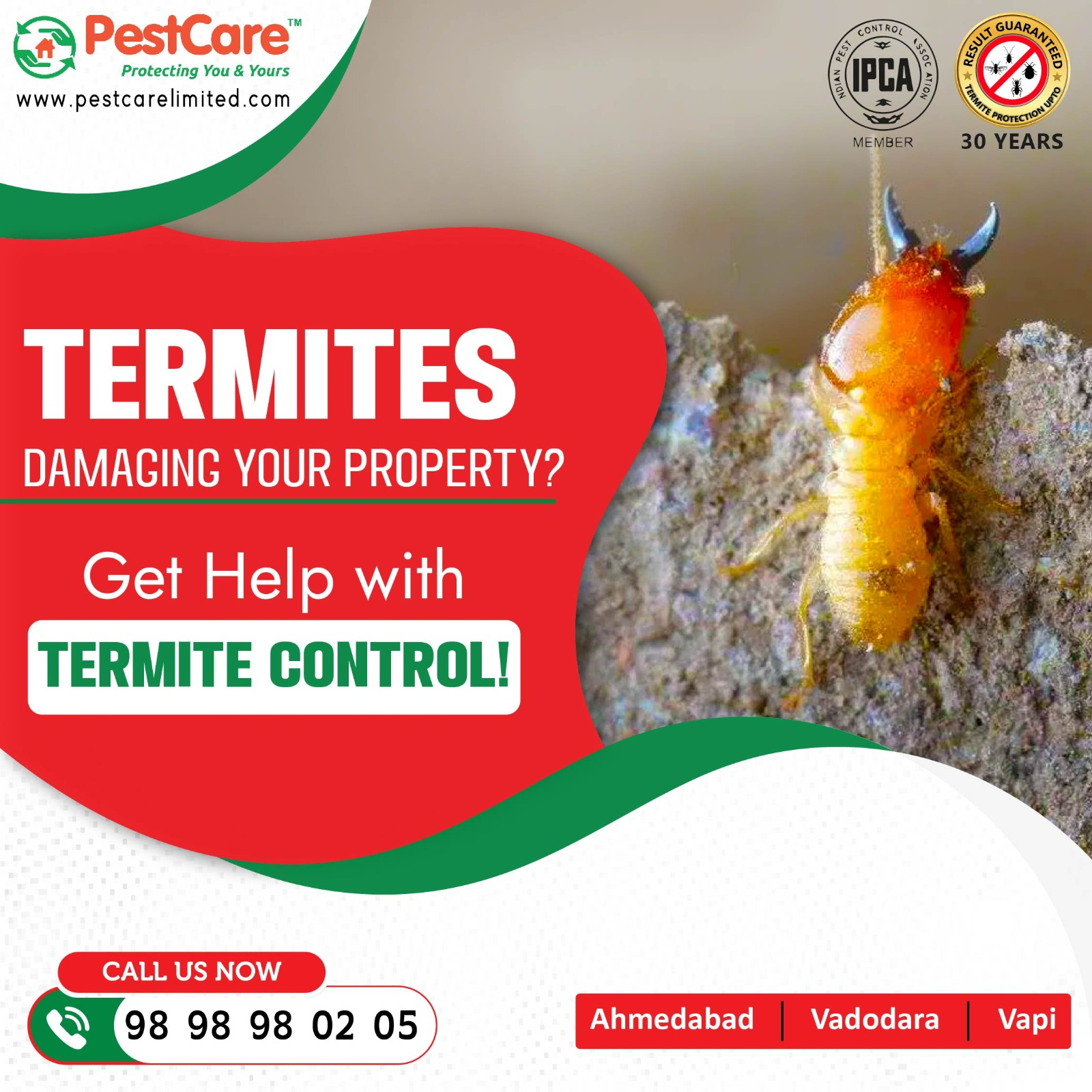 Termite Control Services in Ahmedabad