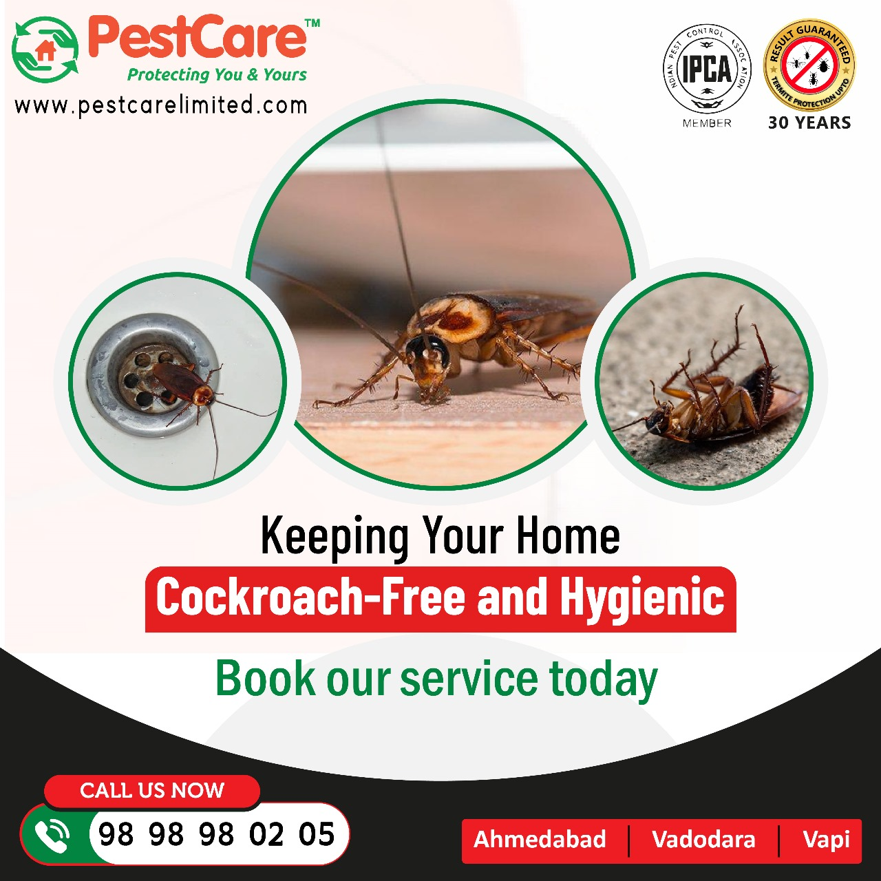 Honeybee Removal in Ahmedabad