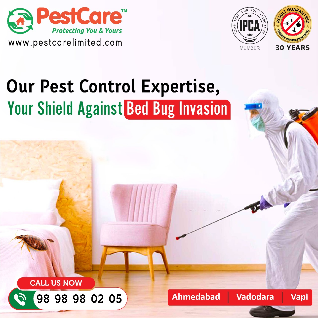 Spider Control Services