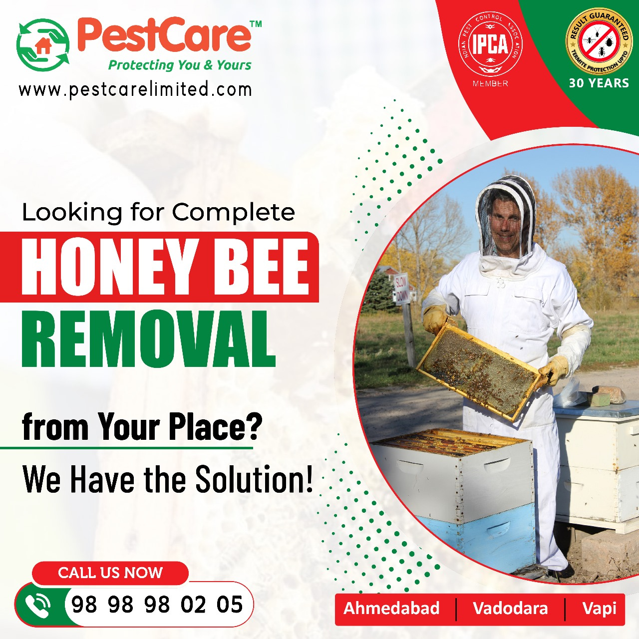 Honeybee Removal in Ahmedabad