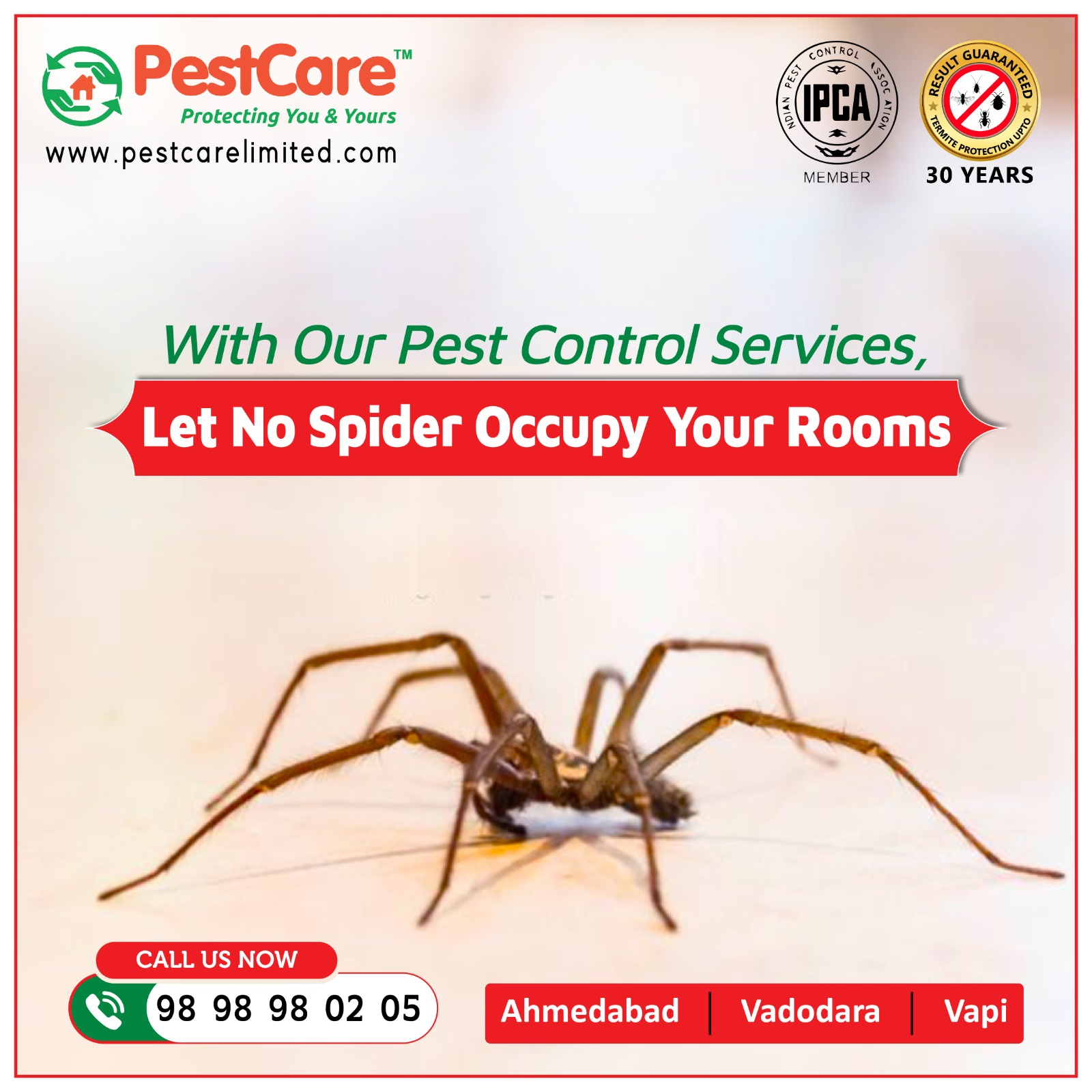 Spider Control Services