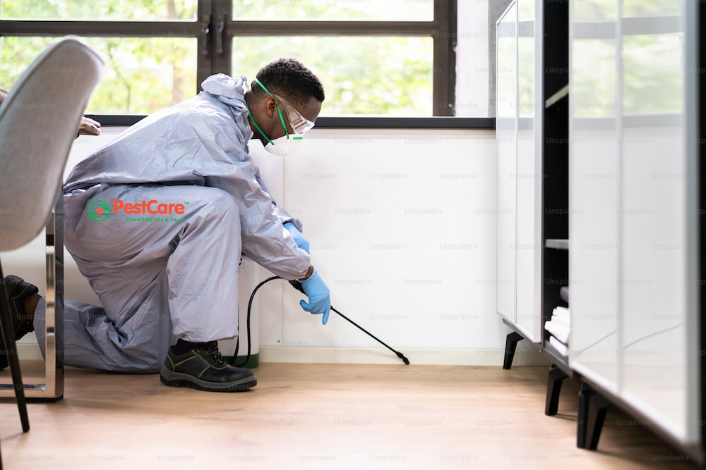 space spraying treatment services near maninagar, ahmedabad
