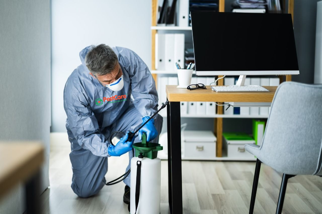 space spraying treatment services near maninagar, ahmedabad