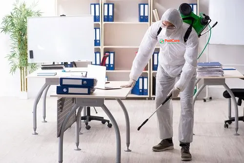 Sanitizing Service