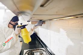 Sanitizing Service in Ahmedabad