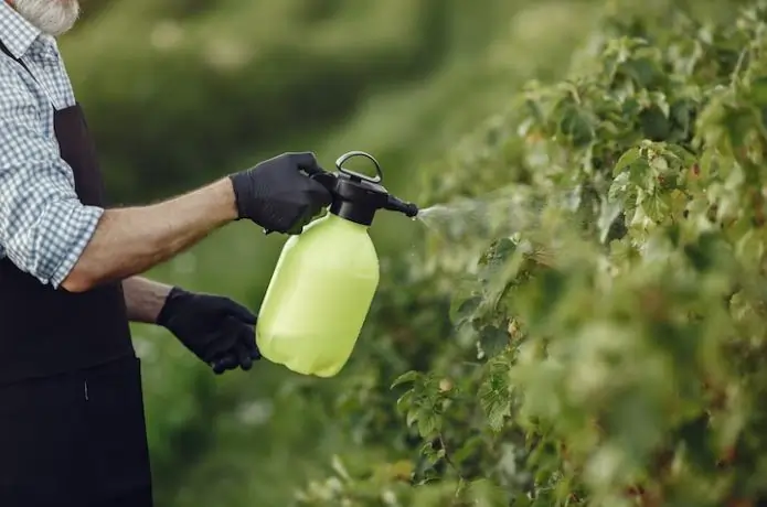 Industiral Weed Control Services Industiral Weed Control Services