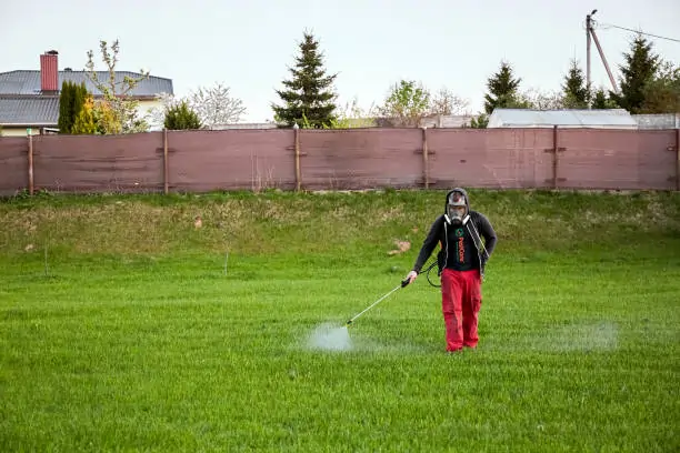 Garden Pest Control in Ahmedabad Garden Pest Control in Ahmedabad