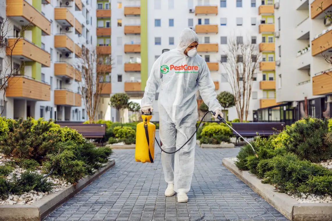 General Pest Control Services in Ahmedabad General Pest Control Services in Ahmedabad
