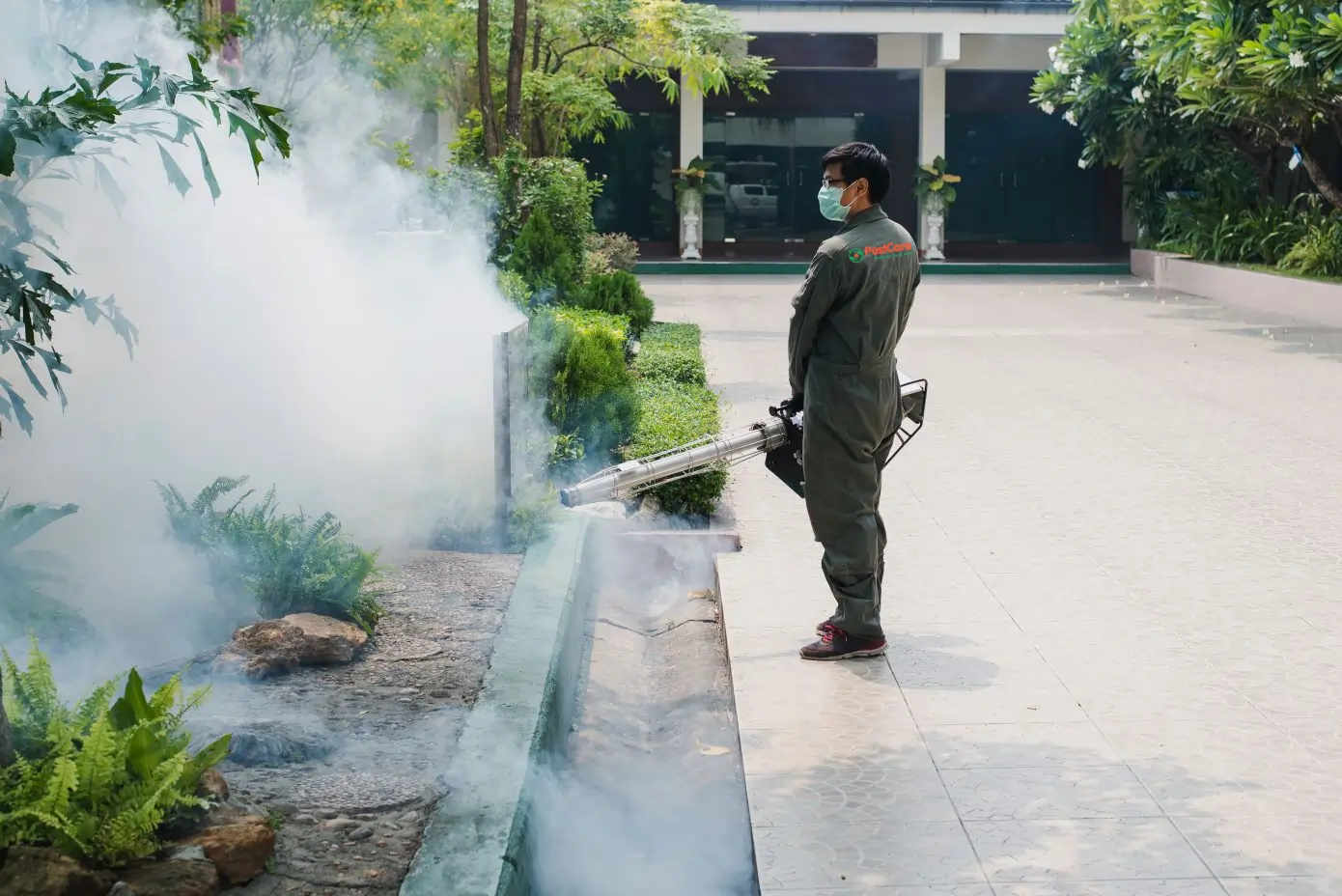 Mosquito Control in Ahmedabad Mosquito Control in Ahmedabad