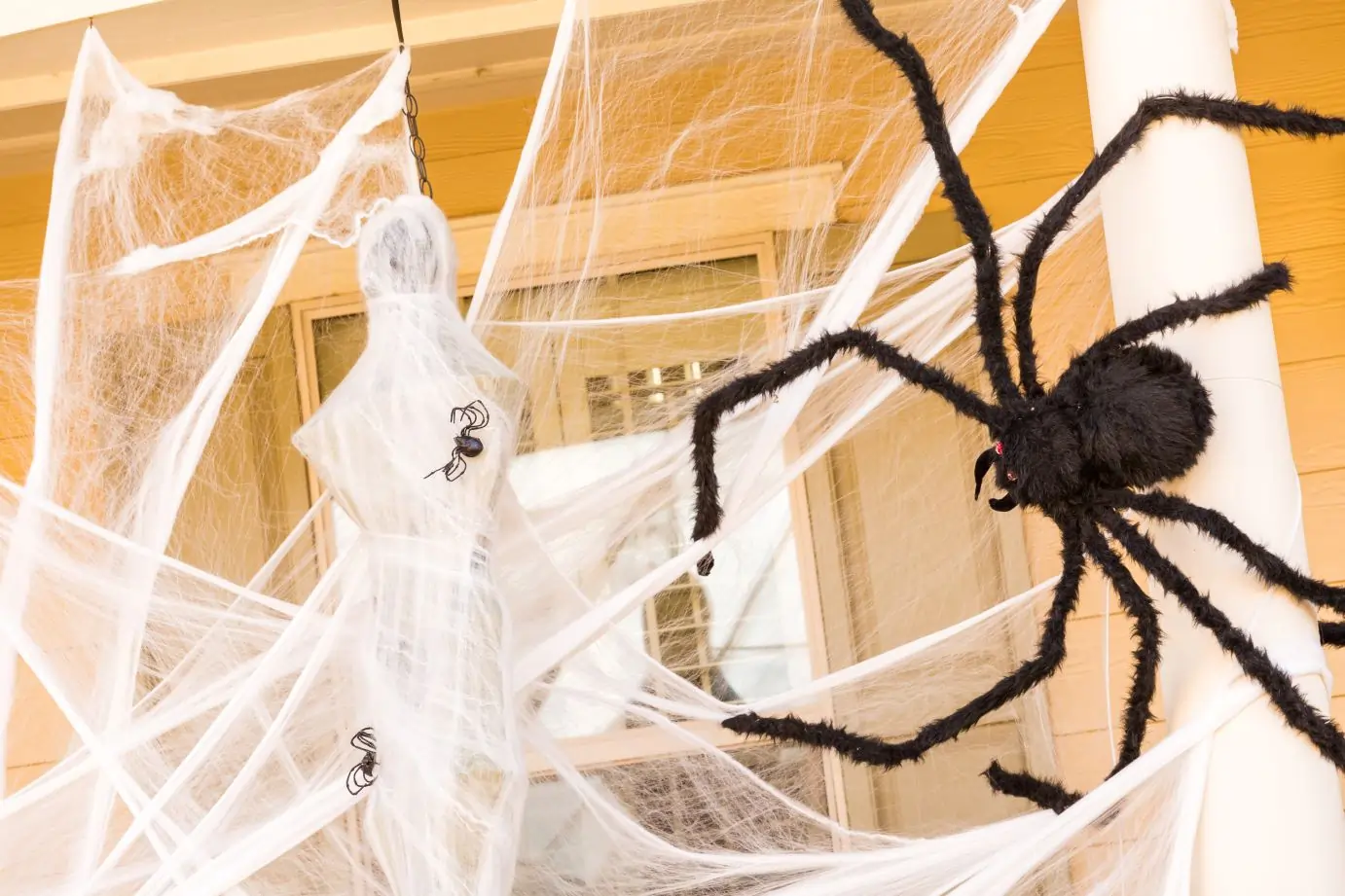 Spider Pest Control in Ahmedabad Spider Pest Control in Ahmedabad
